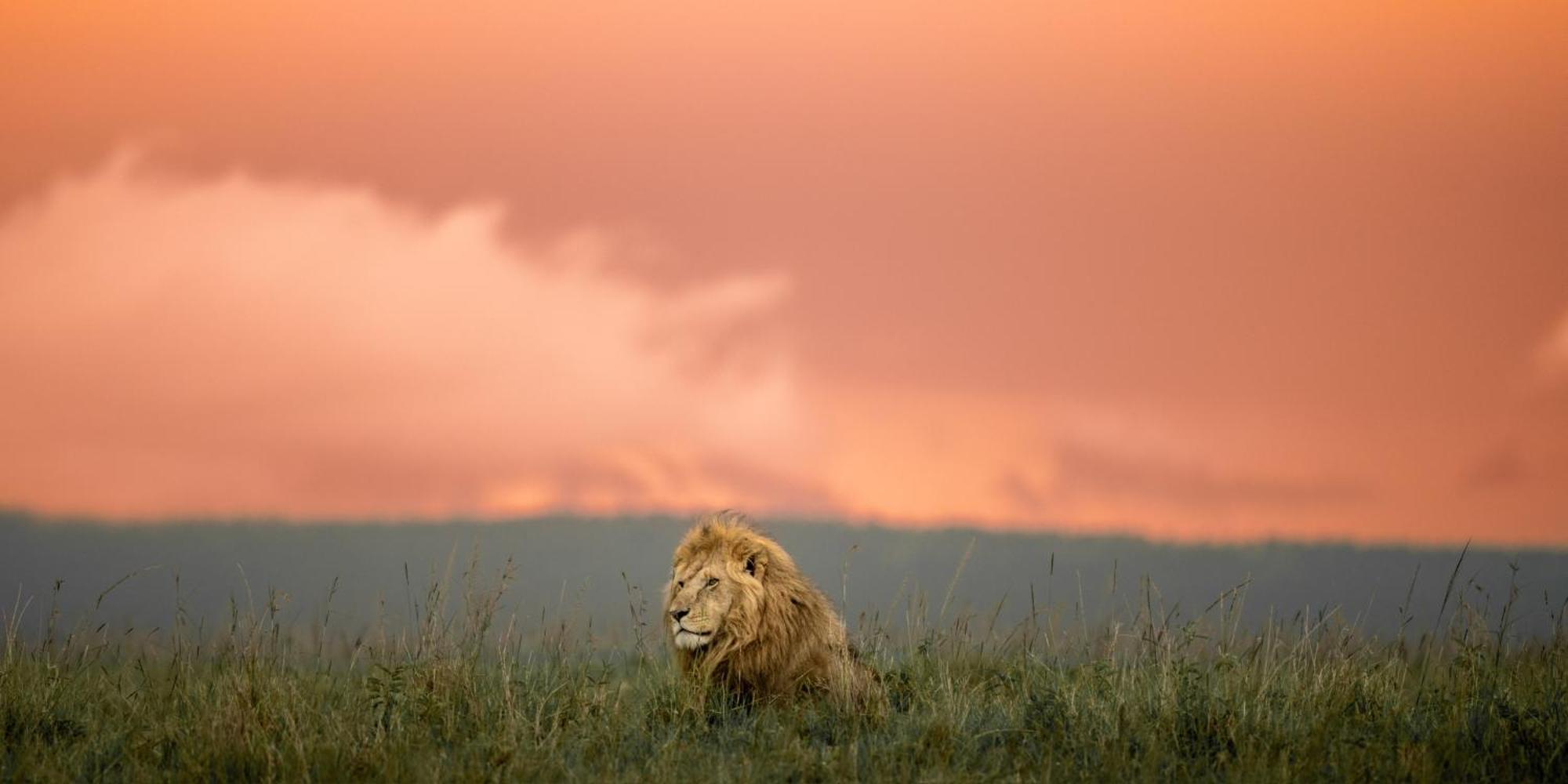 Olkinyei Mara Tented Camp Talek Eksteriør billede